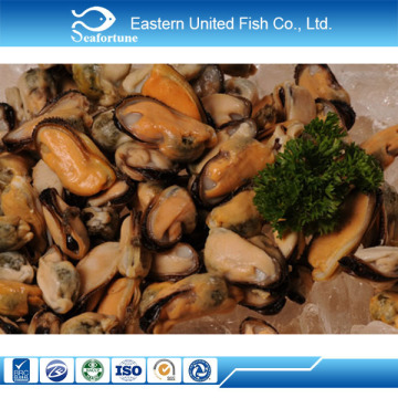 seafood export wholesale health clean fresh mussel meat