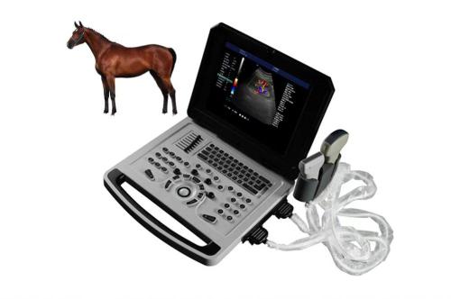 Notebook Color Doppler Ultrasonic Machine for Sheep Pig