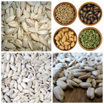 Sunflower Seeds Kernels Confectionary Grade