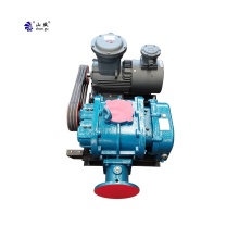 High Pressure Biogas Conveying Industrial Air Blower with Exproof Motor - China Root Blower