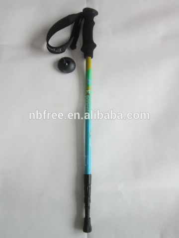 nordic walking stick