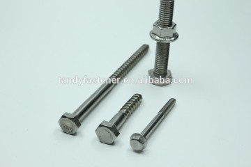 Stainless Steel Hex Nut 316l Bolt and Nut, ss316 Bolt Nut, Standard Size Bolt and Nut