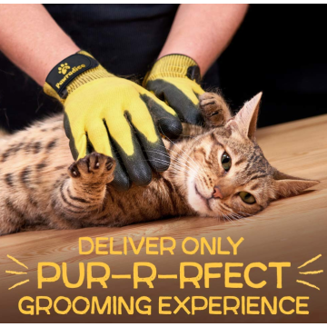 Pet grooming e luvas de banho