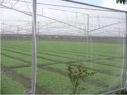 Agriculture Anti Hail Net