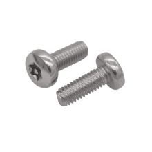 স্টেইনলেস স্টীল প্যান মাথা বিরোধী চুরি screws