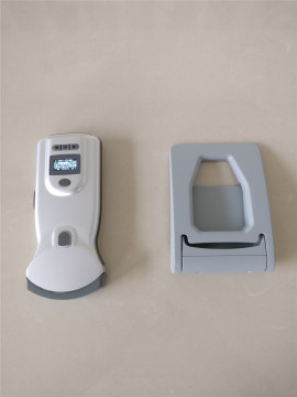 Convex Array Probe Doppler Ultrasound