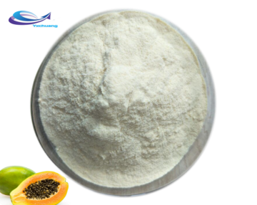 raw material spray dried papaya fruit extract powder