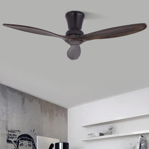 LEDER Decorative Electric Ceiling Light Fans