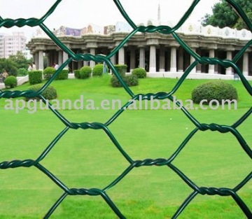 Hexagonal wire netting anping factory