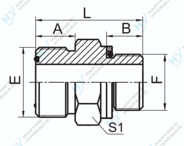 ORFS Male O-Ring/BSP Male O-Ring