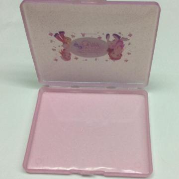 Plastic thin storage case