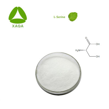 Nutritional Supplement L-Serine 99% Powder