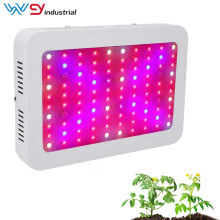 1000W LED Grow Light kit for seedlings