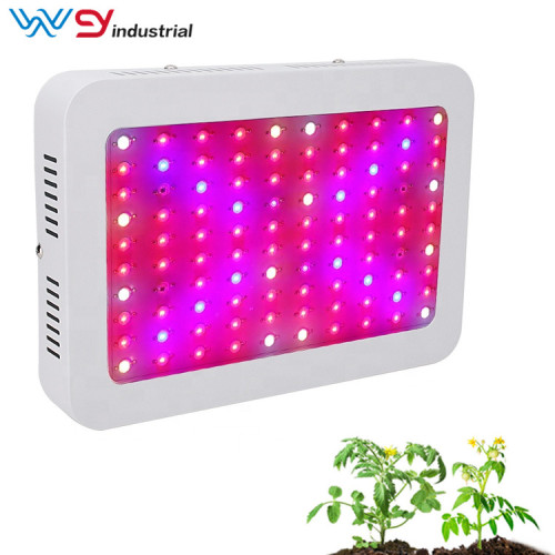 Grow light kit for seedlings