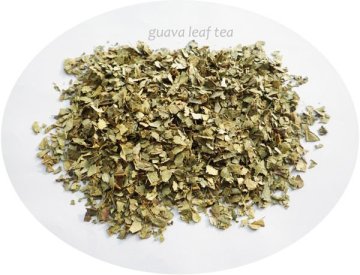 bulk herbal tea, dried guava leaf