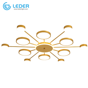 LEDER Flush Vanity Ceiling Lightings