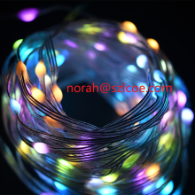 LED Magic color leather wire lamp string RGB 50leds/m intelligent remote controlled led leather wire strip