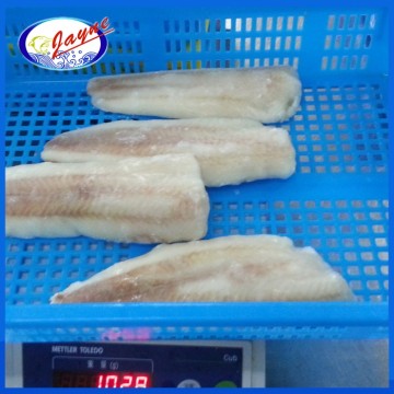 two years shelf life frozen hake fillets