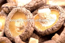 Edible Smooth Lentinus Edode Exported to England