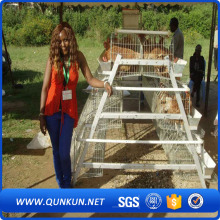Egg Laying Chicken   Cage  Electra  Glavanized Wire