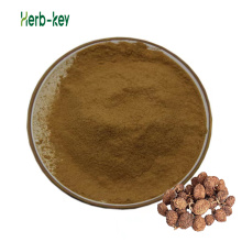 Pure Natural Amomum Fruit Extract at low price