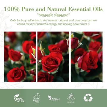 Extracto de flores de belleza orgánica Aceite de fragancia de rosa para el cuidado de la piel