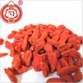 The Red Goji Berries Buah Kering