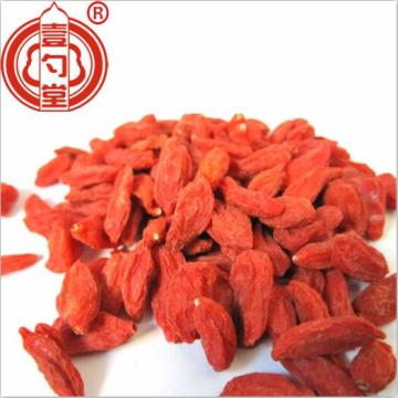 750 grootte Ningxia Organisch goji bessenfruit