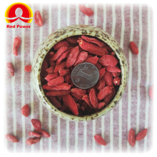 HALAL Red Goji Berry Benefits