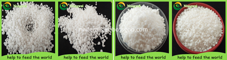 Good Supplier Calcium Nitrate in Nitrogen Fertilizer