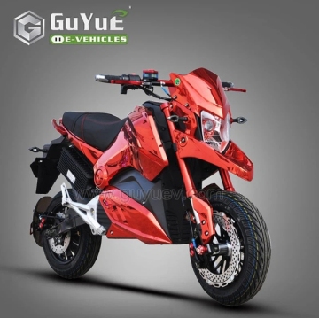 Adult Racing Electric Motorcycle