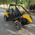 beach buggy adult 250 petrol go kart