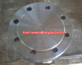 Standard ASME palsu flange buta