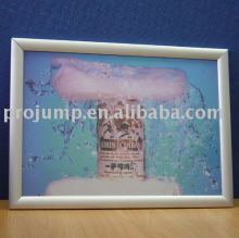 2011 snap frame profile