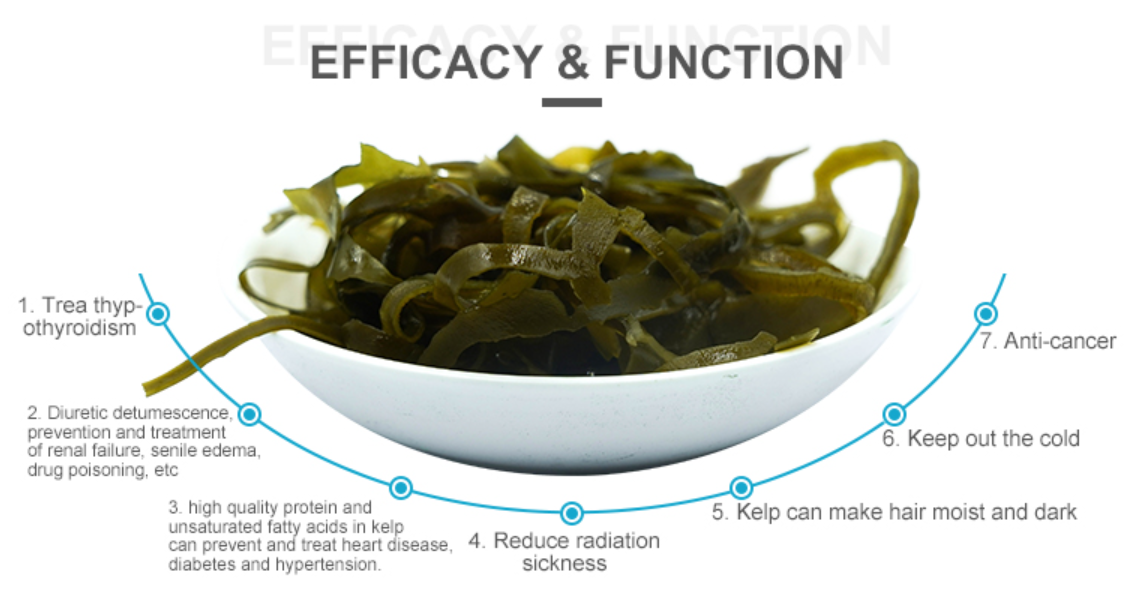 Laminaria 4