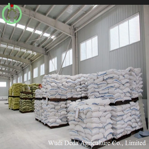 Rice Protein Powder Feed Grade