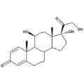 prednisolone route of administration