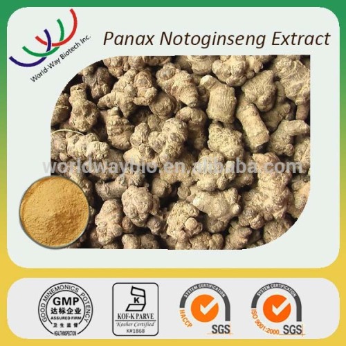 no side effect organic panax ginseng root powder , korean ginseng extract powder