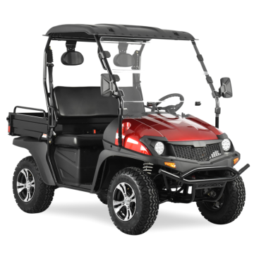 Высокое качество с EPA Jeep 200CC UTV Sale