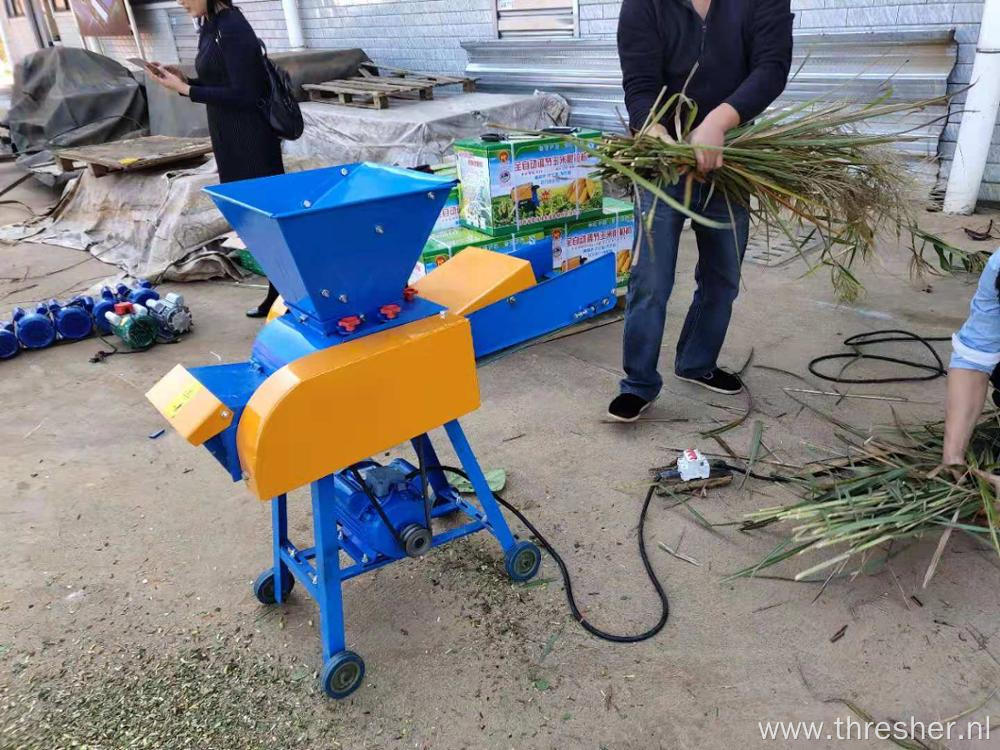 3HP Hopper Chaff Cutter Machine Support Fruit