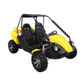 Go Kart 150cc / 250cc Motor Buggy für Erwachsene