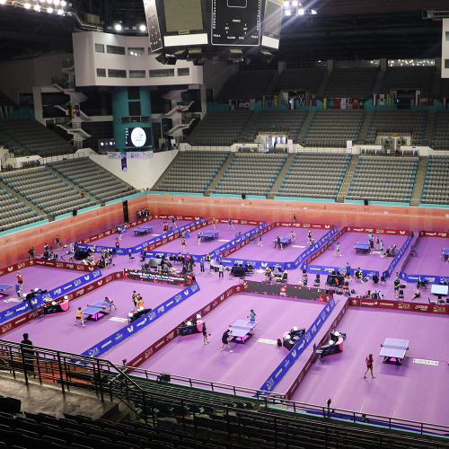 Tapis de sol de ping-pong en PVC avec ITTF