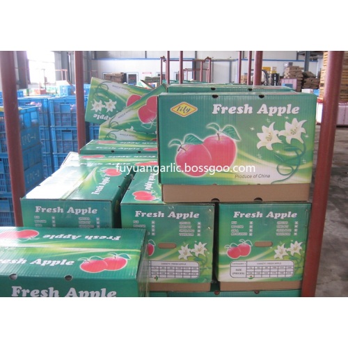 Fuji Apple Lezzetli elma