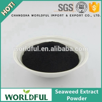 Preventing plant diseases and insect pest effectively seaweed extract powder