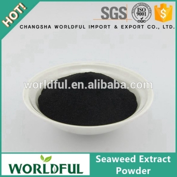 2016 Worldful hot sale seaweed extract powder, seaweed extract fertilizer