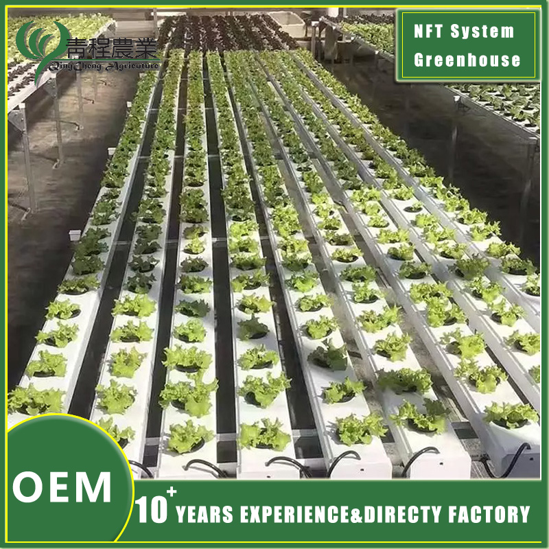 Sistema de invernadero de tubos NFT NFT pipe greenhouse system