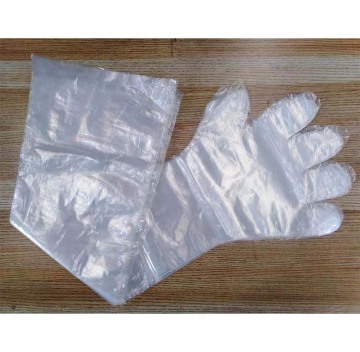 Disposable long arm veterinary gloves