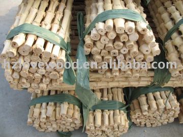 Bamboo Root Stick