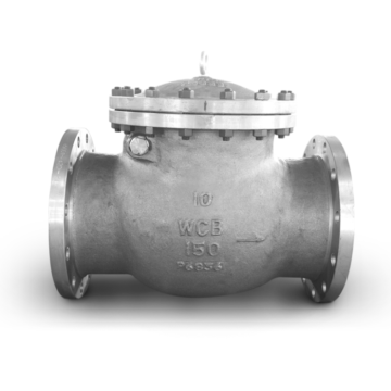 Medium Flow Control Check Valve