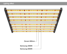 Sunlike Phlizon LED Grow Light Foldable 640W